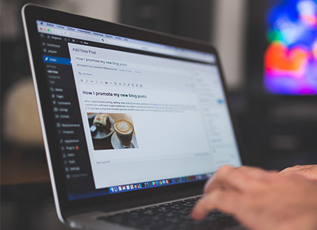 Updates mit WordPress-Profi aus Freiburg